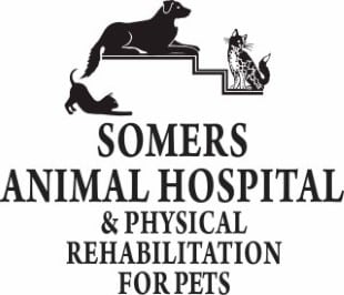 Somers Animal Hospital